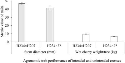 Effectiveness of Single Nucleotide Polymorphism Markers in Genotyping Germplasm Collections of Coffea canephora Using KASP Assay
